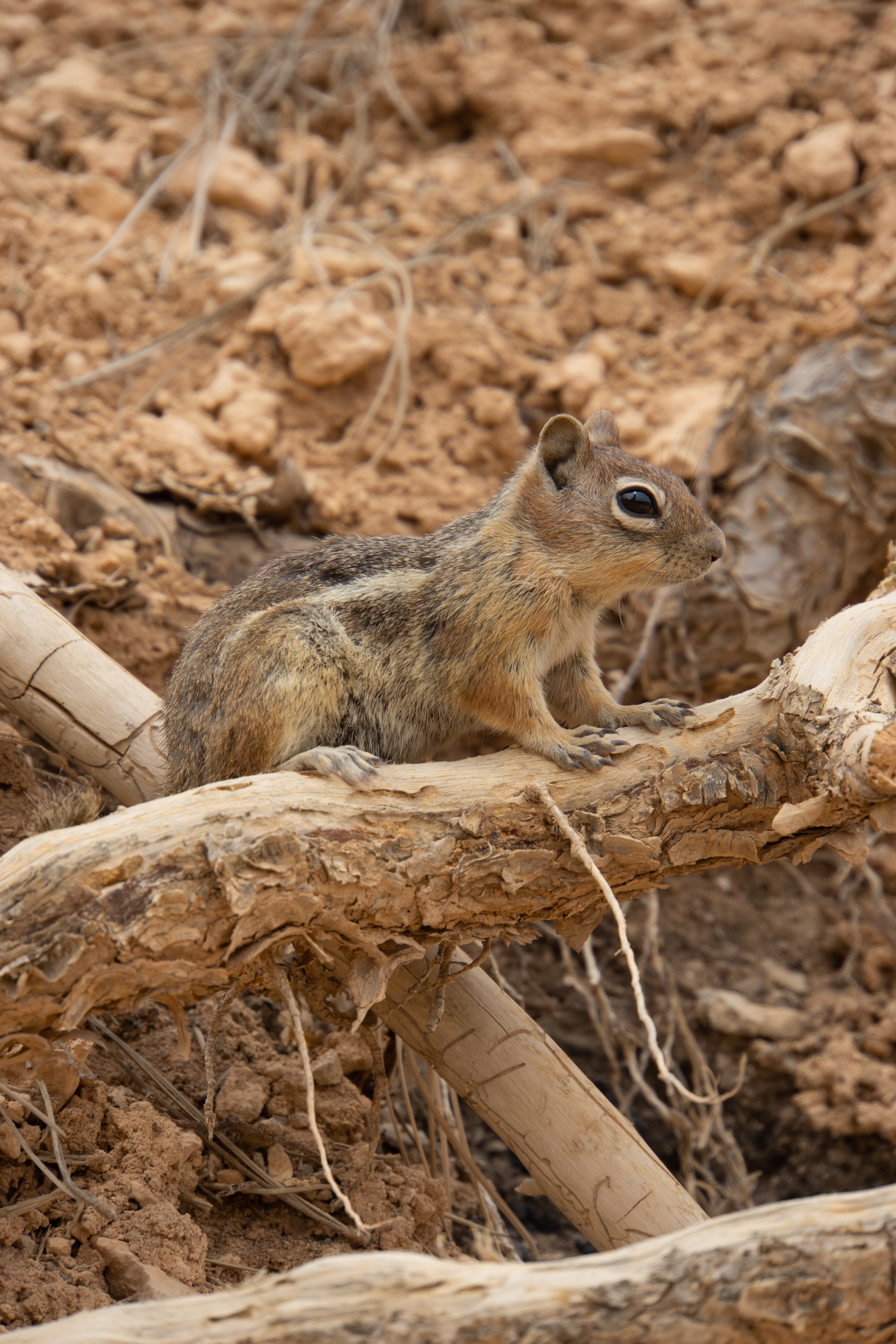 US National Parks 2022 8